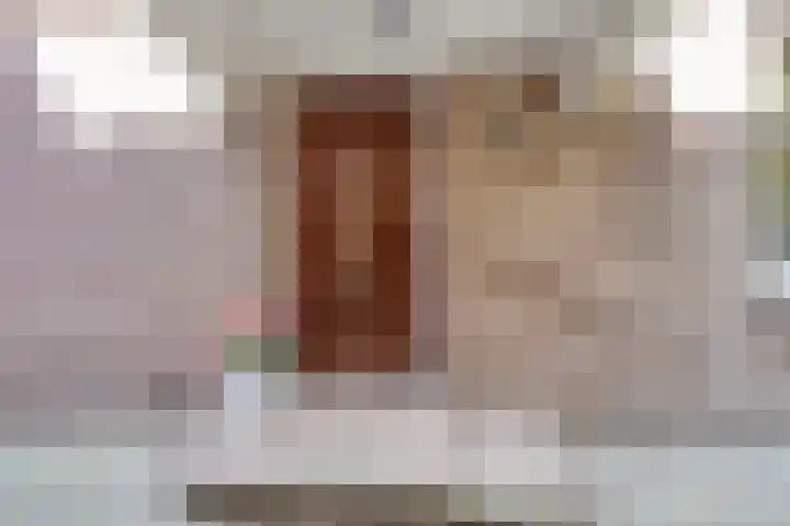 Werkhorst 14 Meppel thumbnail 5