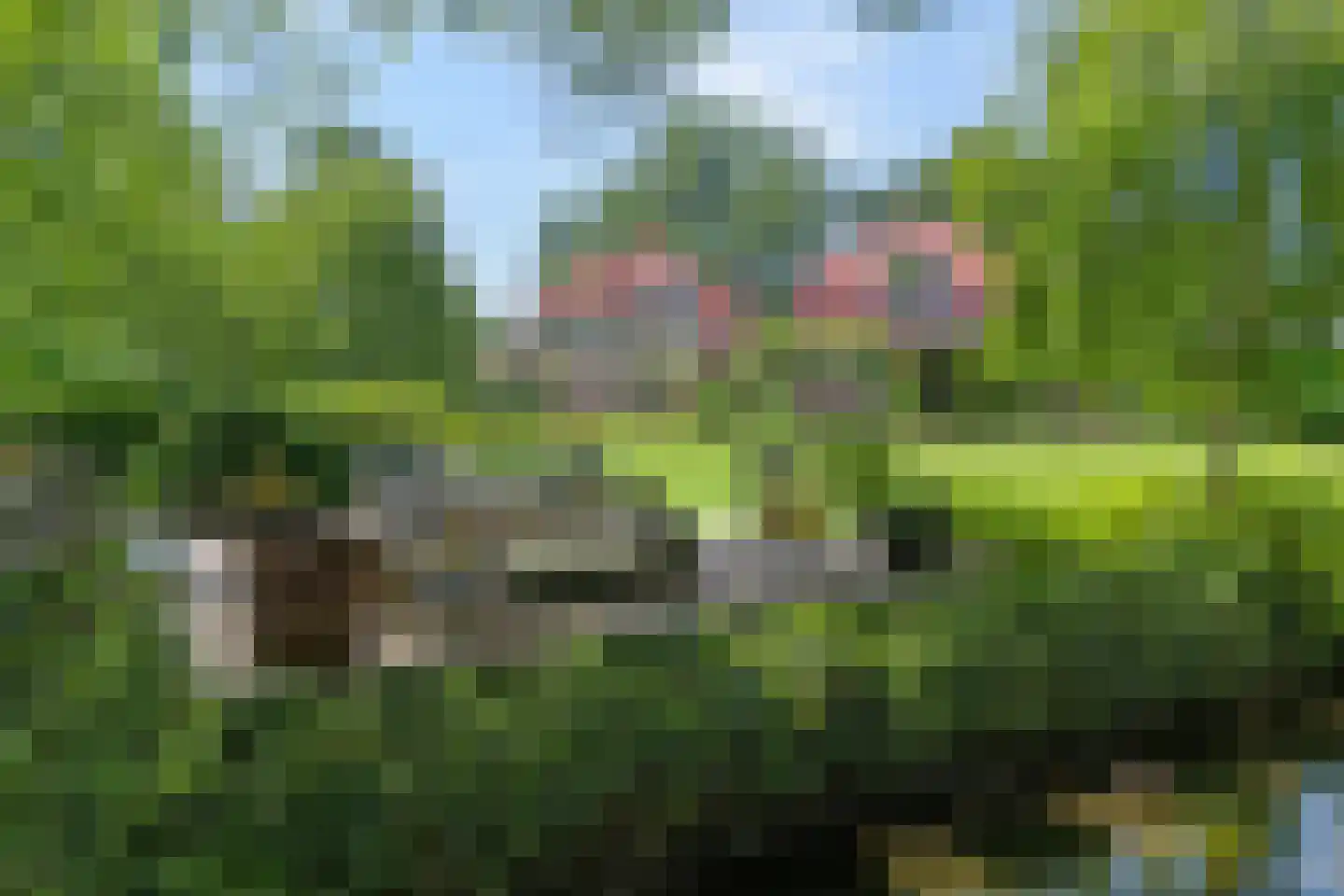 Werkhorst 5 Meppel