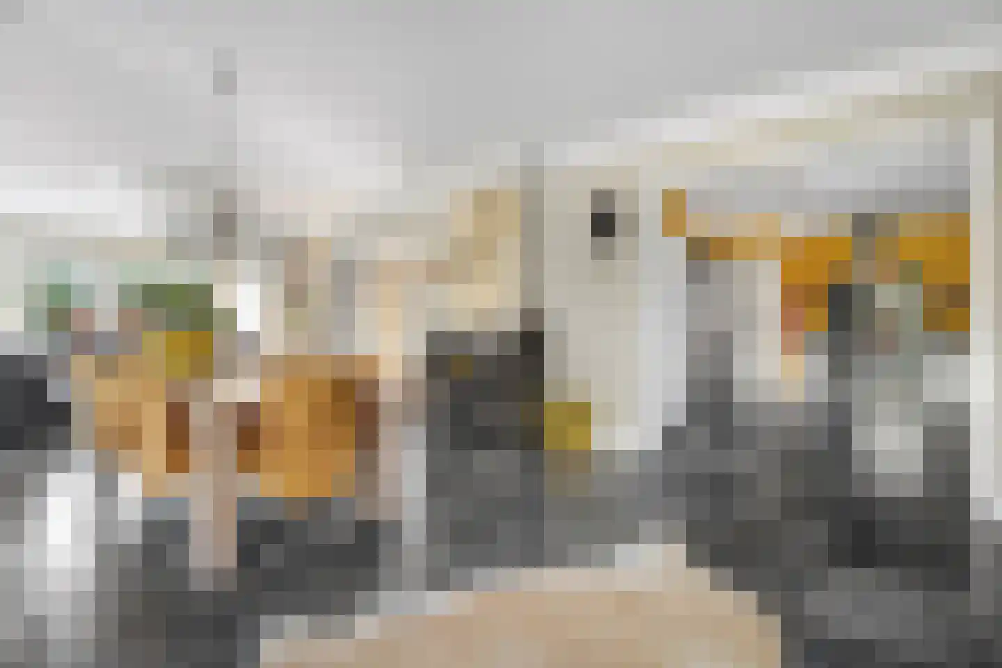 Werkhorst 5 Meppel thumbnail 10