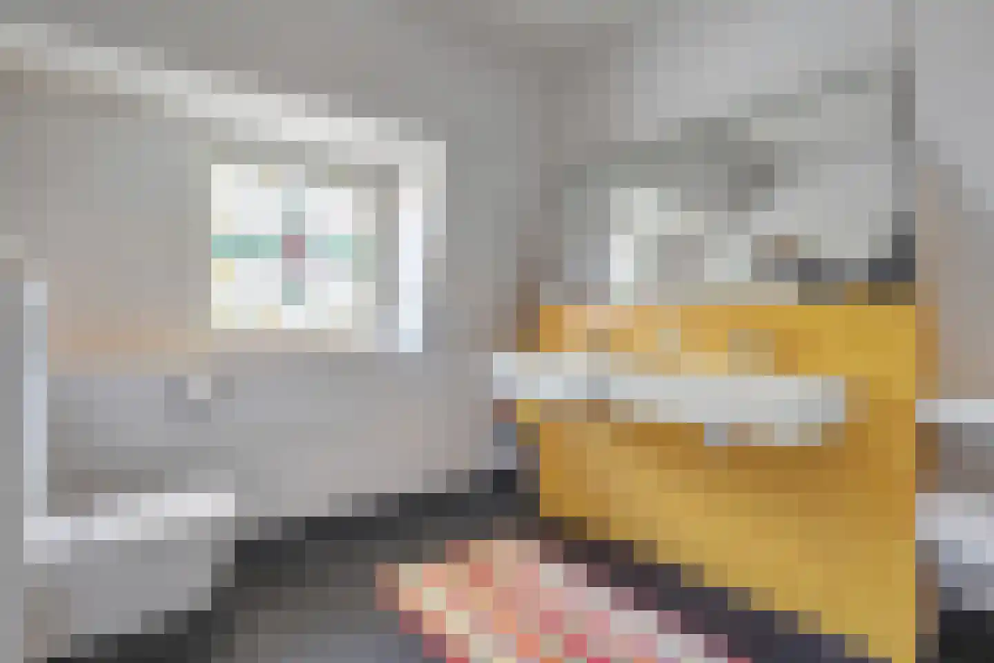 Werkhorst 5 Meppel thumbnail 16
