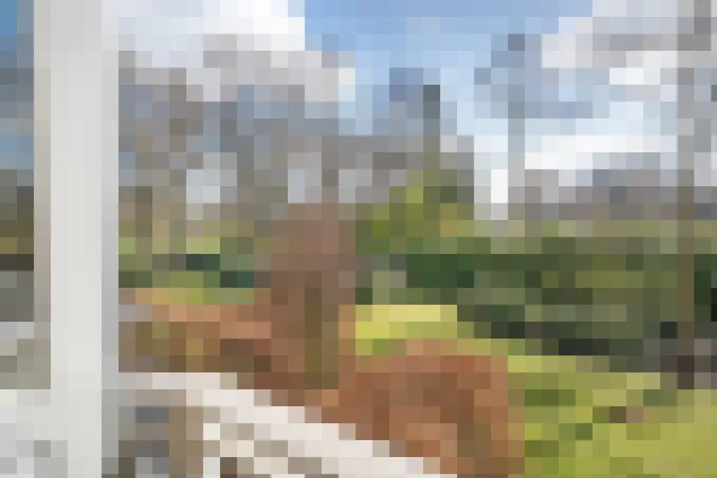 Werkhorst 5 Meppel thumbnail 18