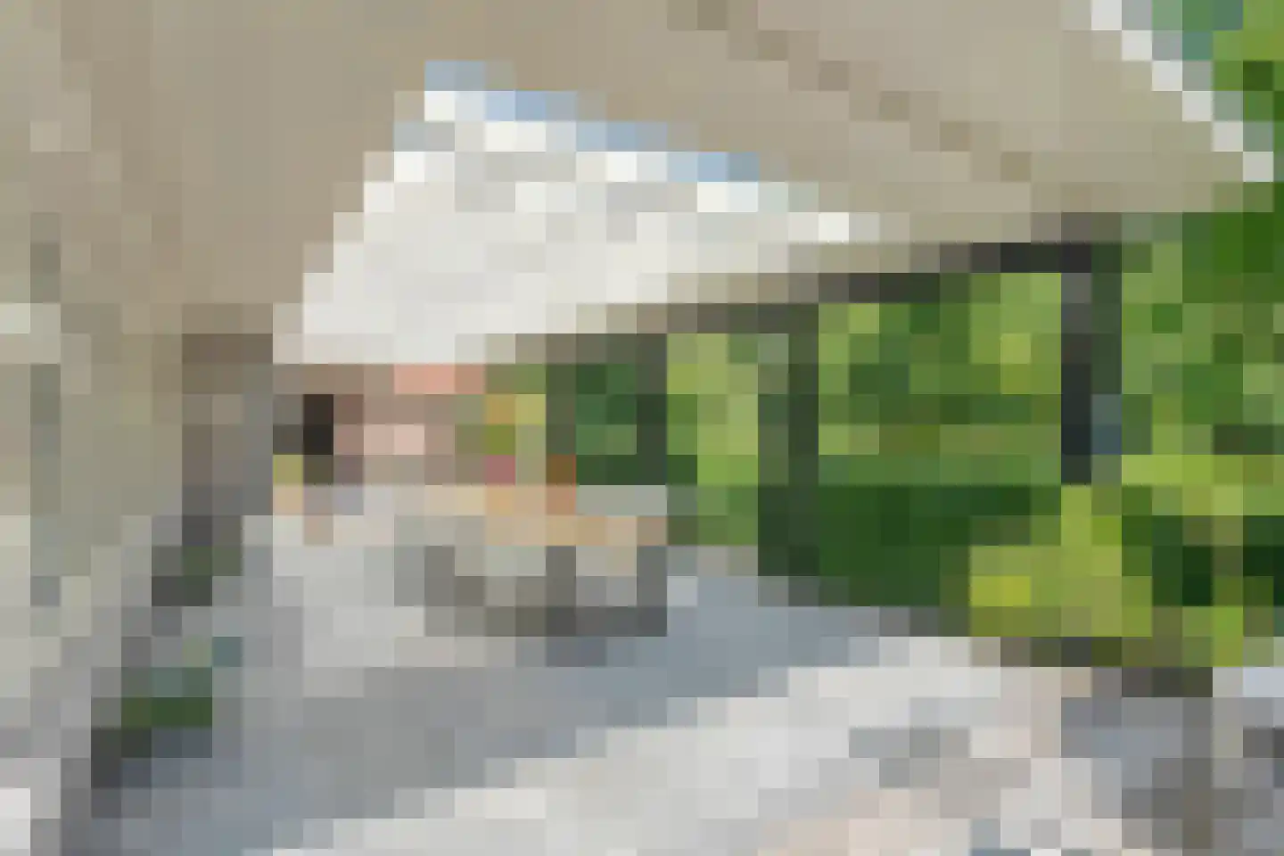 Werkhorst 5 Meppel thumbnail 24