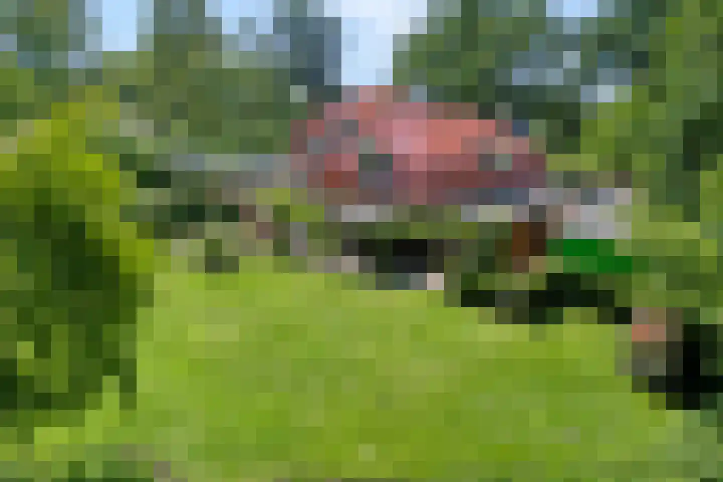 Werkhorst 5 Meppel thumbnail 25