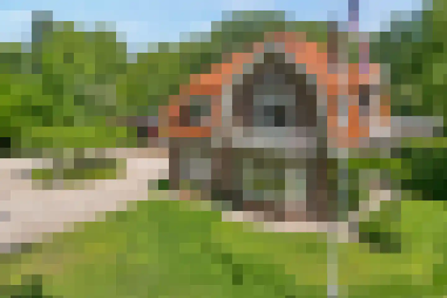 Werkhorst 5 Meppel thumbnail 33