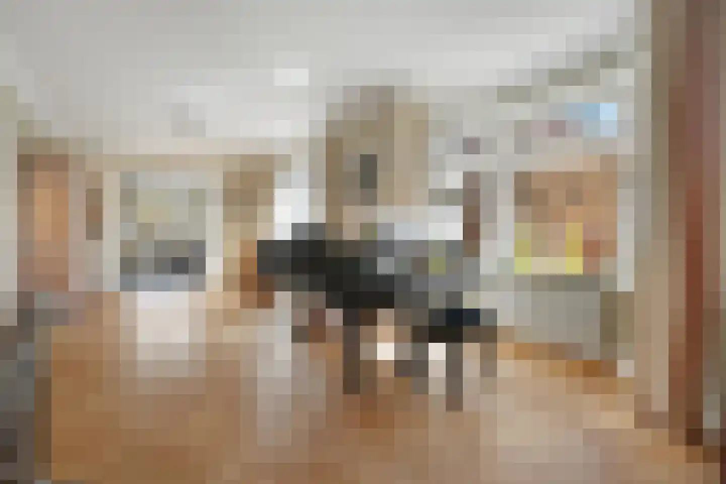Werkhorst 5 Meppel thumbnail 7