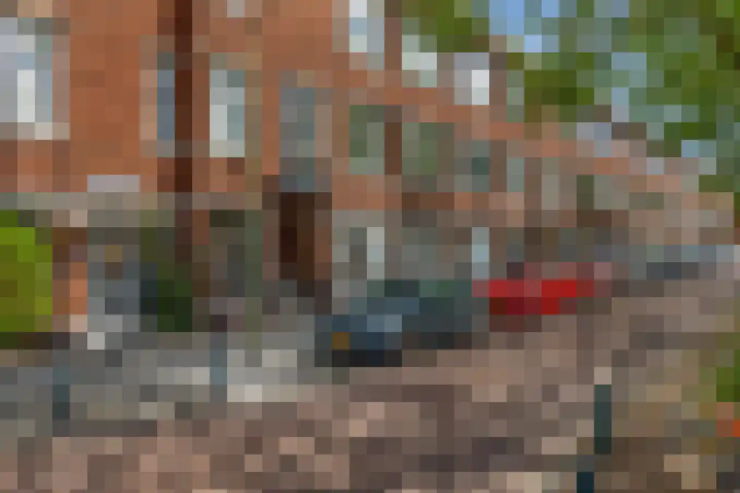 Werkhovenstraat 133 Den Haag thumbnail 6