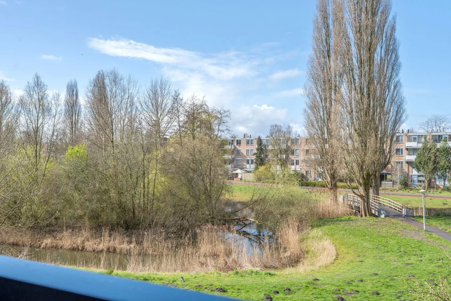 Werkhovenstraat 14 Amsterdam thumbnail 6