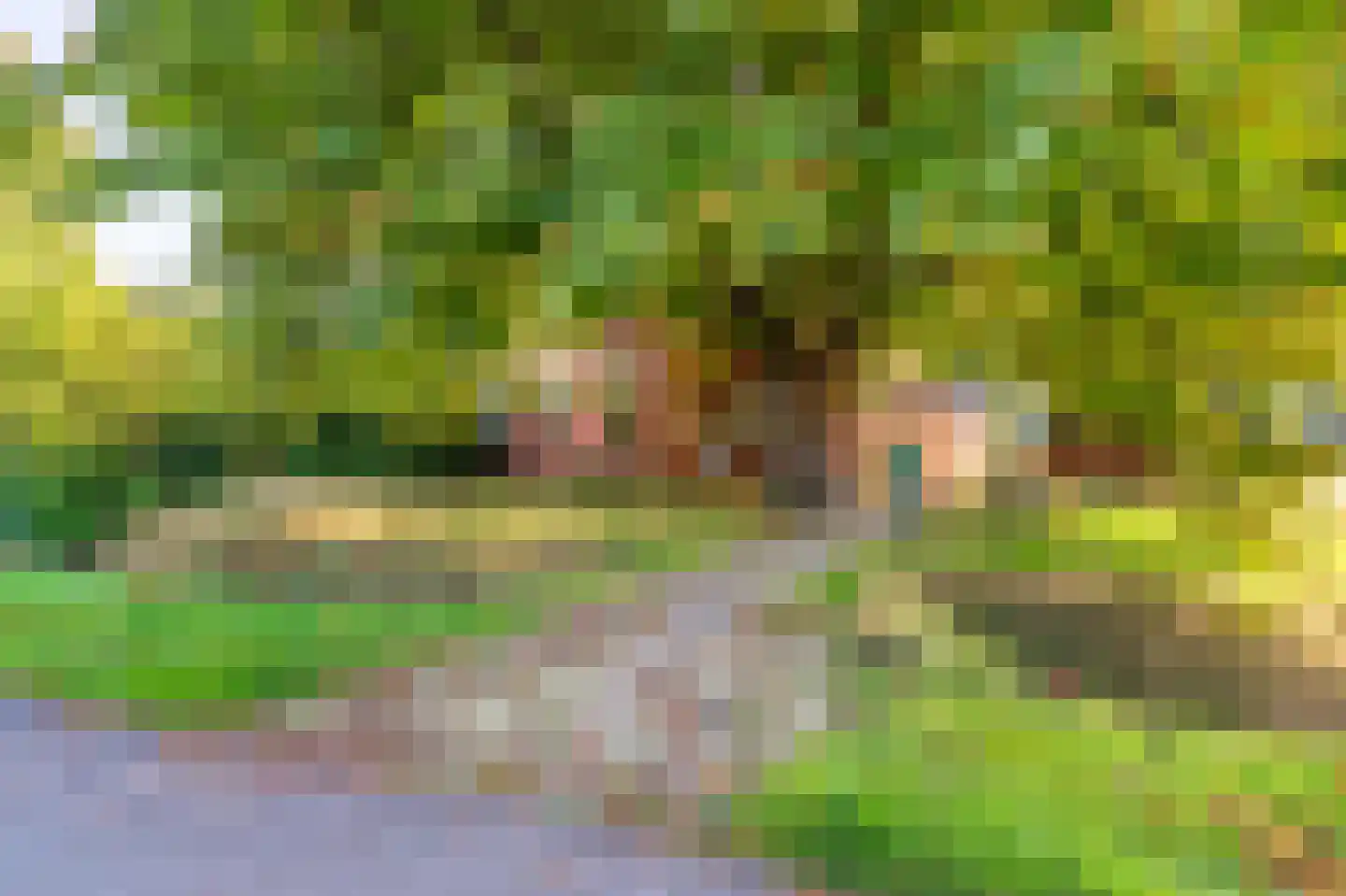 Werkhuislaan 5 Bellingwolde