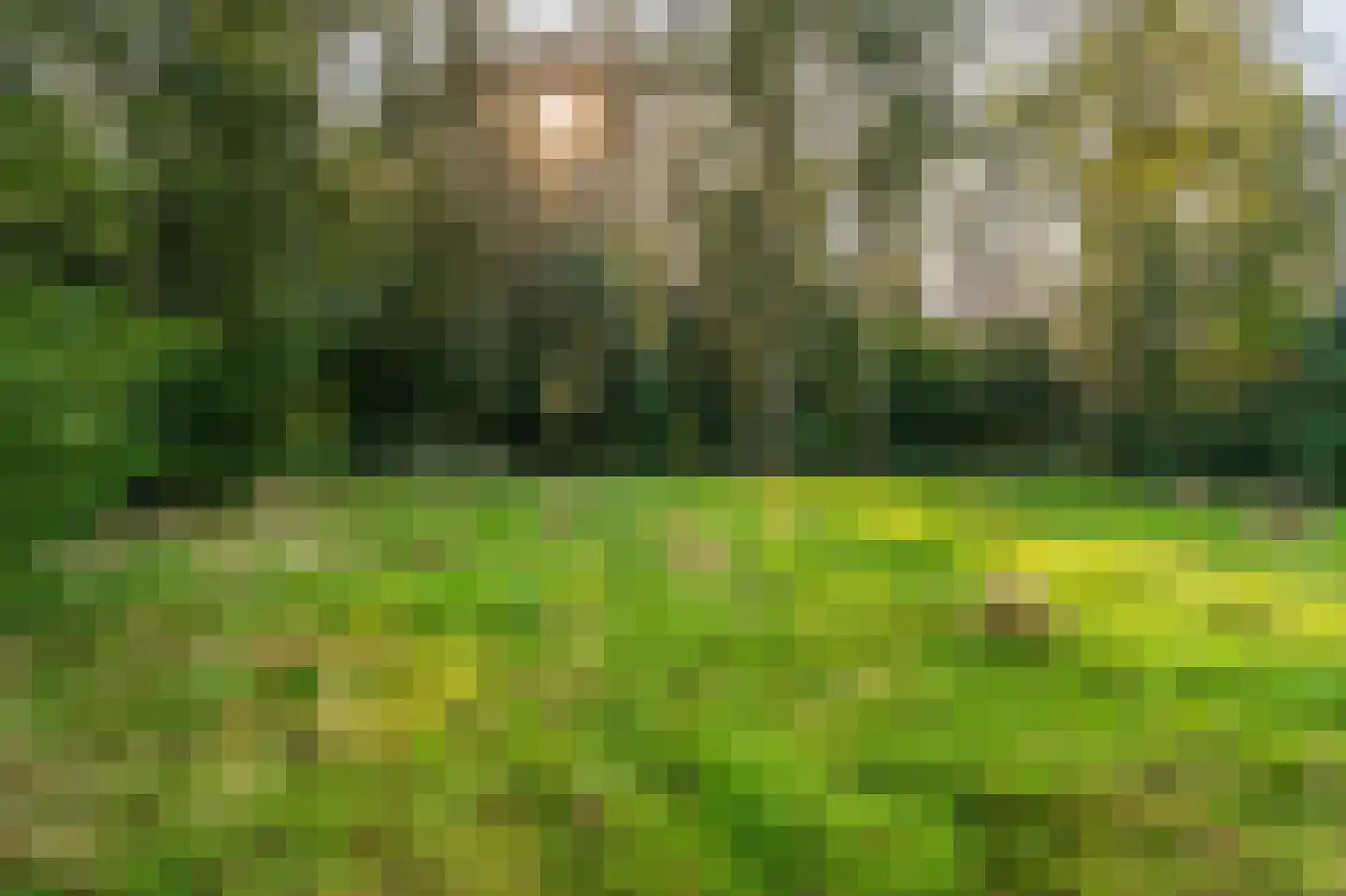Werkhuislaan 5 Bellingwolde thumbnail 10