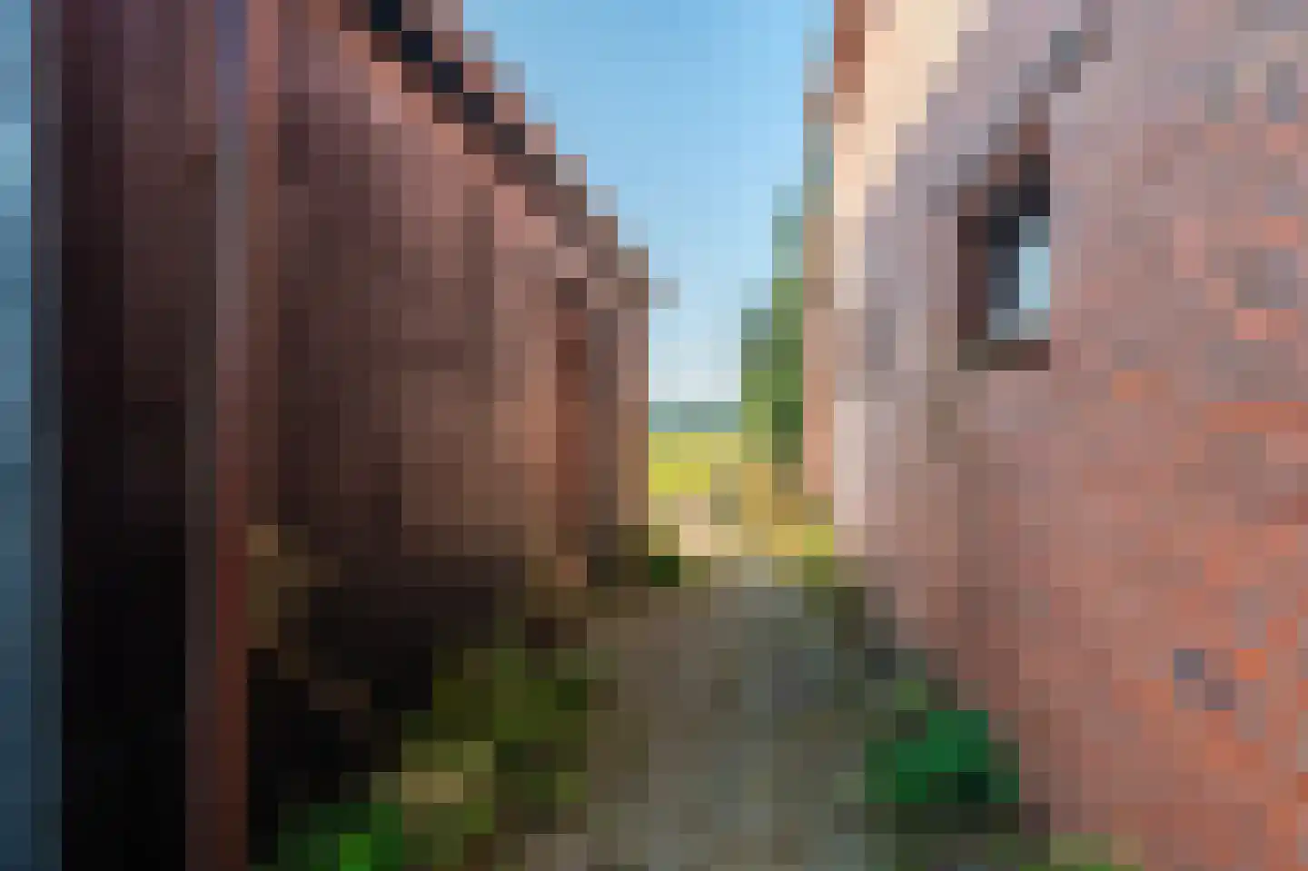 Werkhuislaan 5 Bellingwolde thumbnail 16