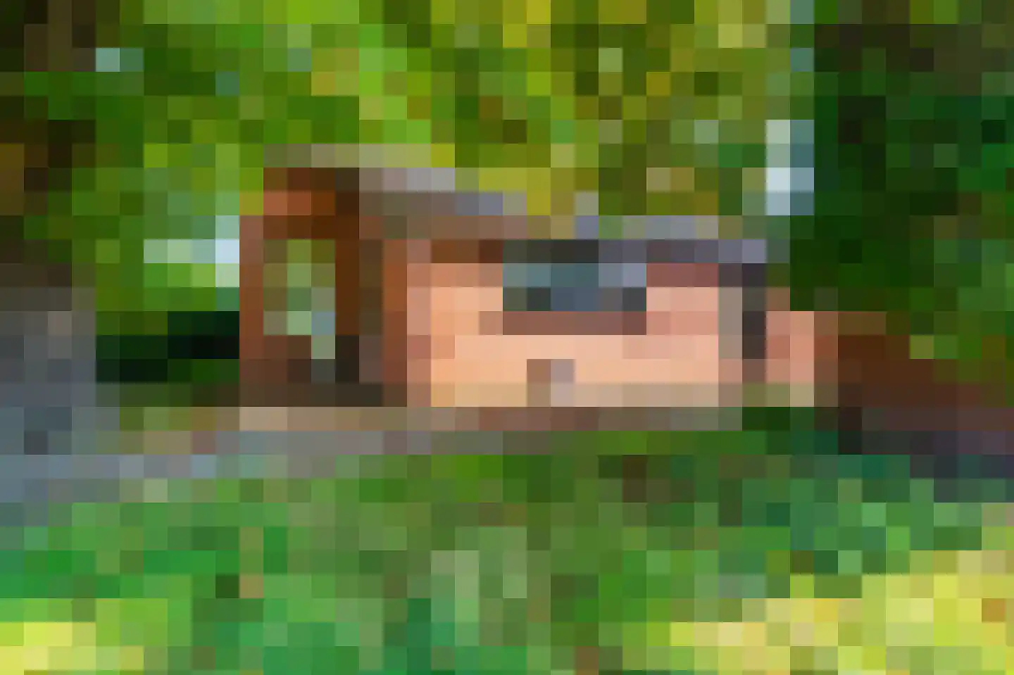 Werkhuislaan 5 Bellingwolde thumbnail 17