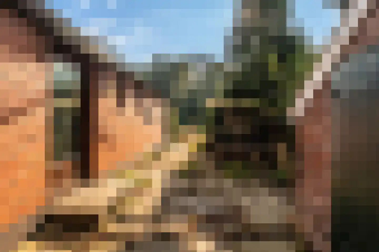 Werkhuislaan 5 Bellingwolde thumbnail 18