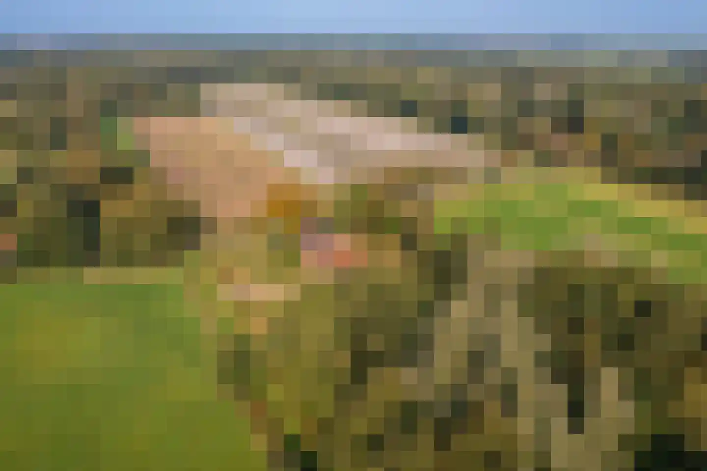 Werkhuislaan 5 Bellingwolde foto 2