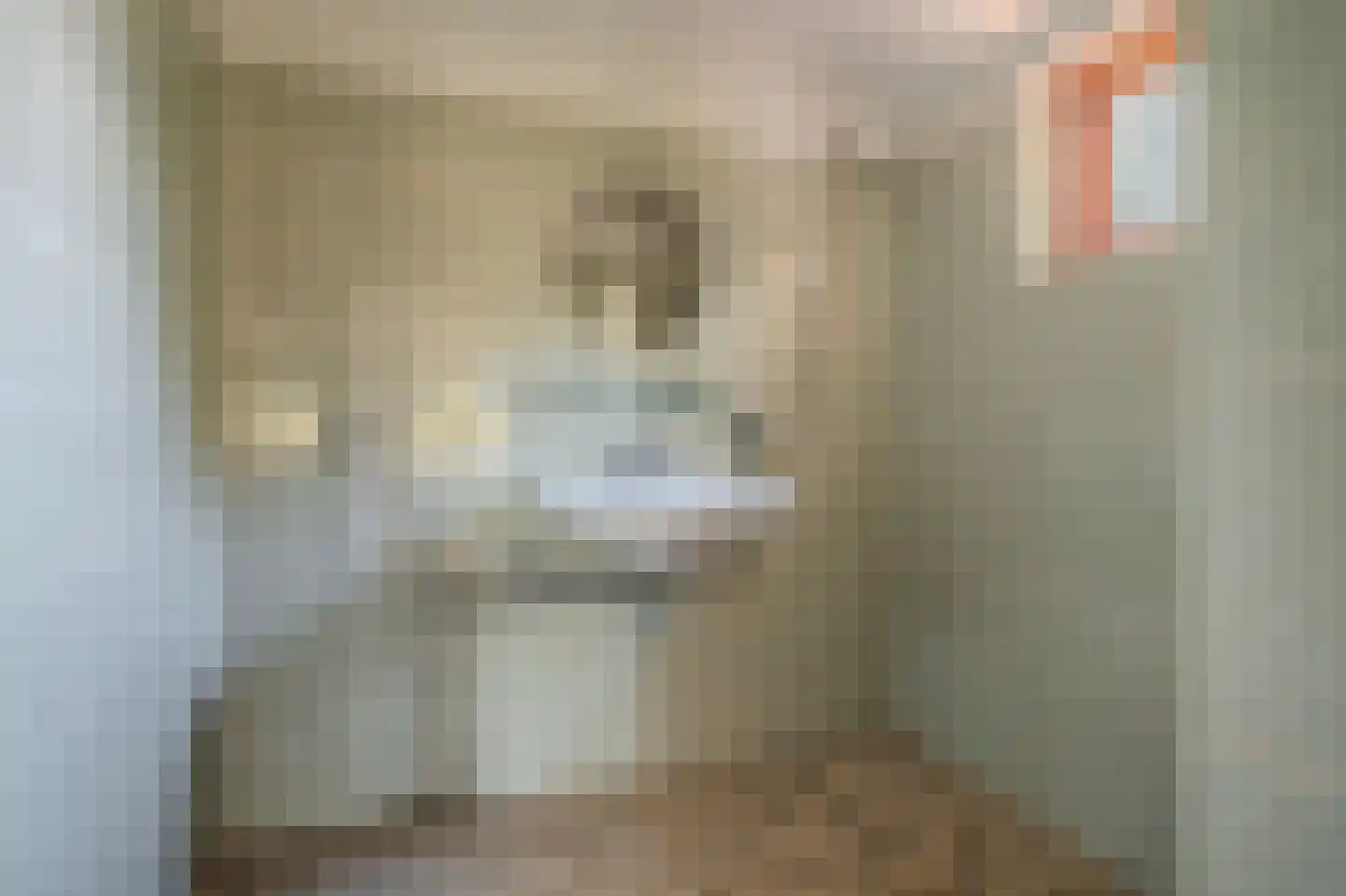 Werkhuislaan 5 Bellingwolde thumbnail 28