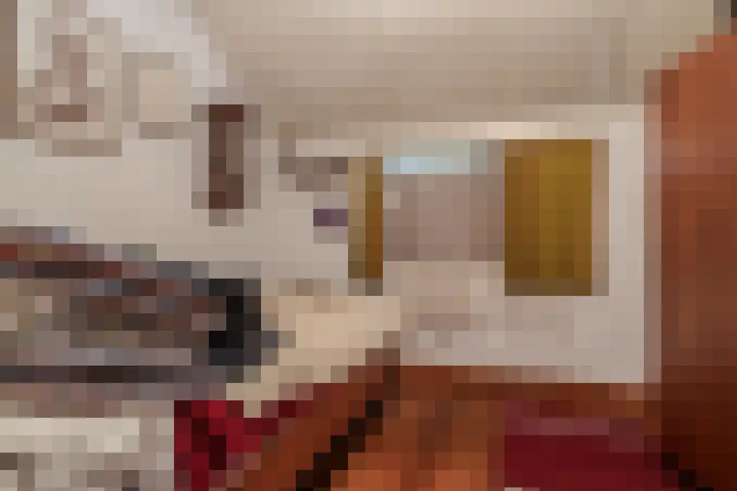 Werkhuislaan 5 Bellingwolde thumbnail 30