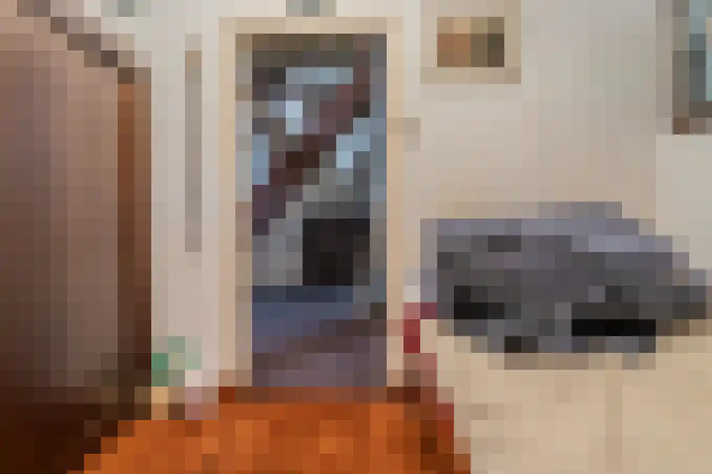 Werkhuislaan 5 Bellingwolde thumbnail 31