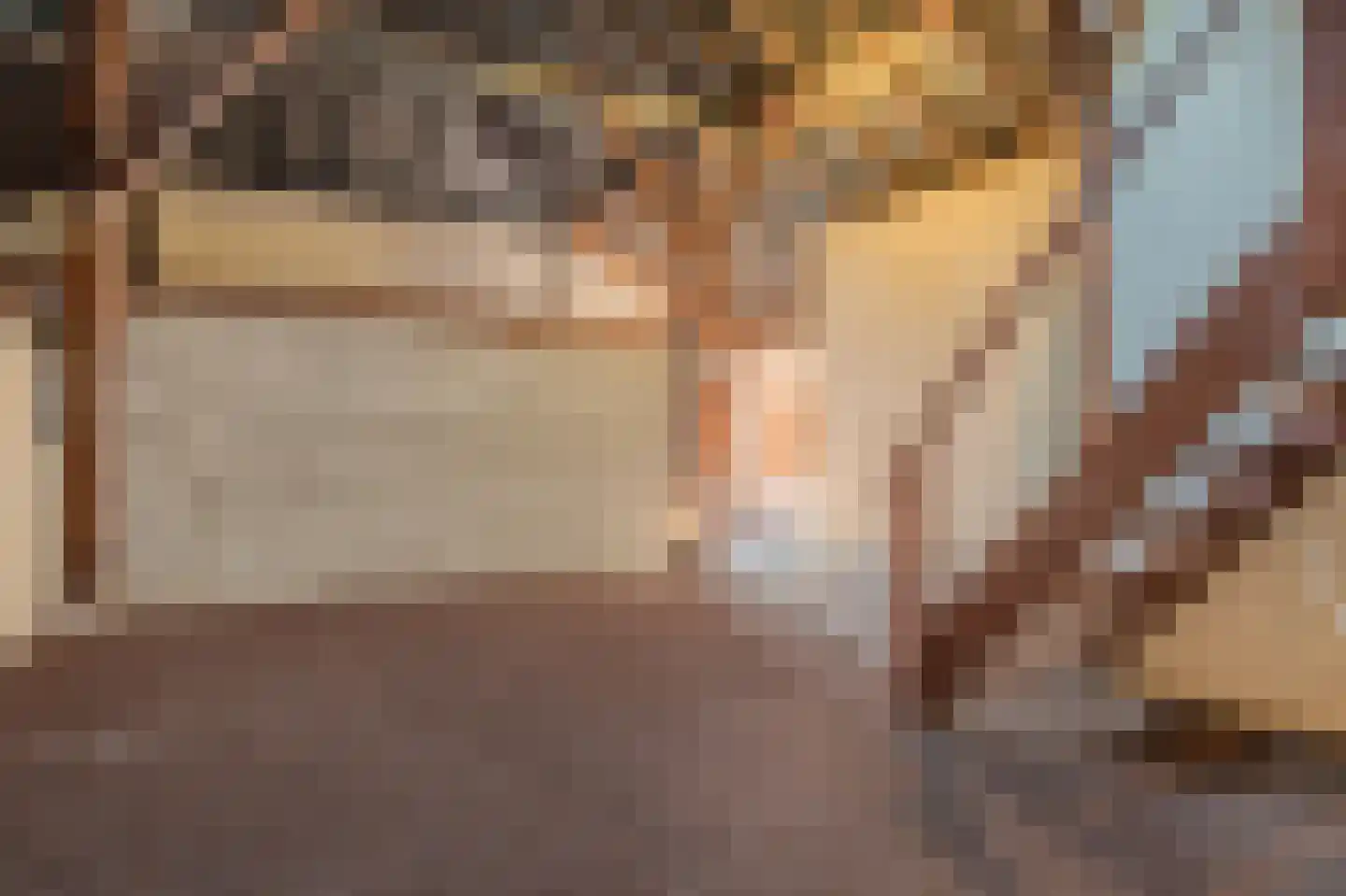 Werkhuislaan 5 Bellingwolde thumbnail 32