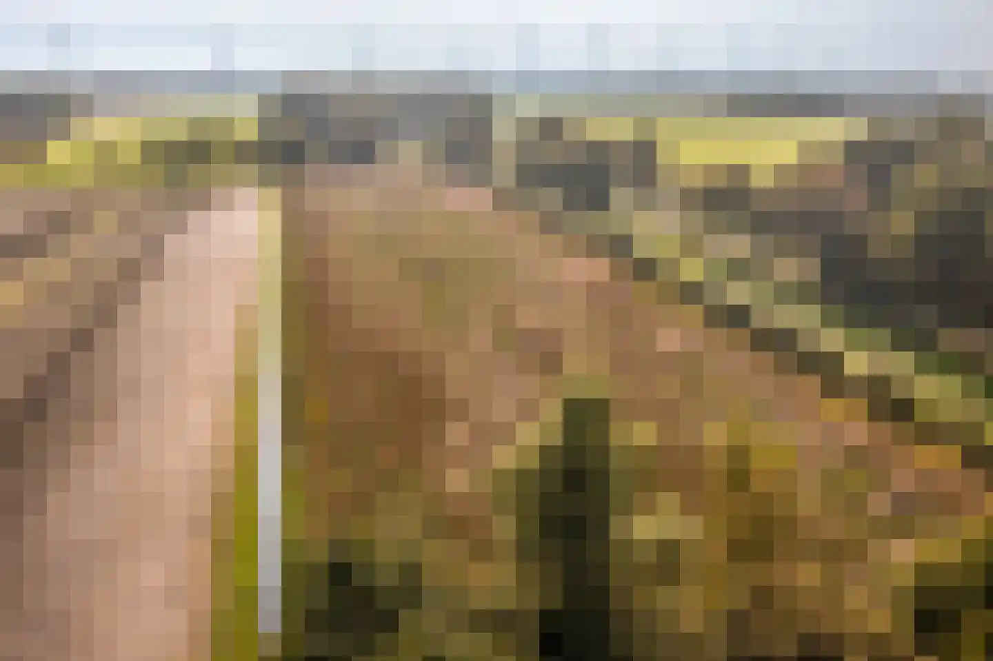 Werkhuislaan 5 Bellingwolde thumbnail 36