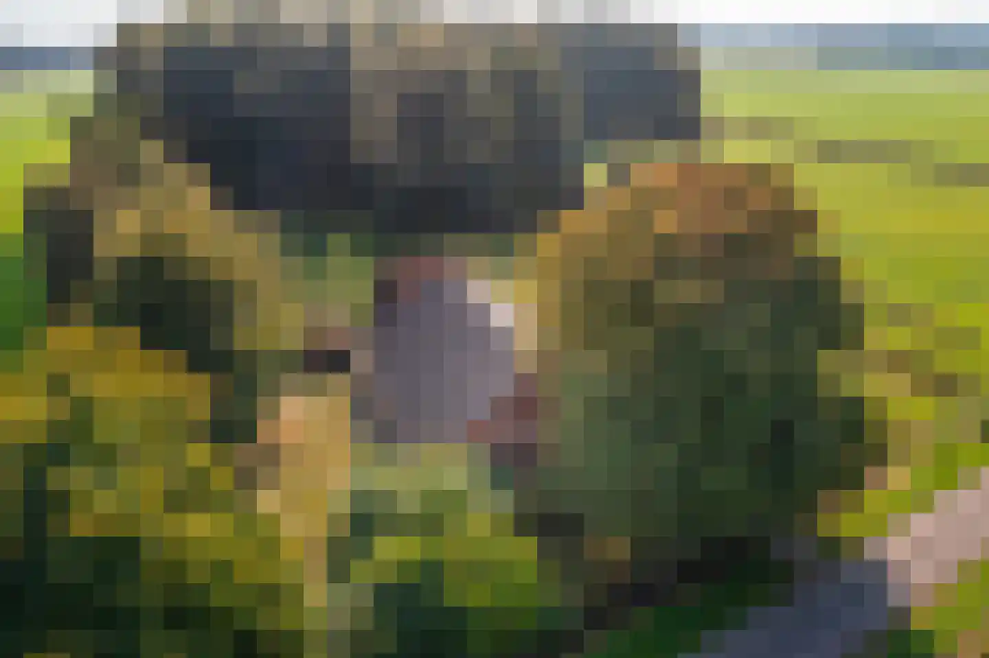 Werkhuislaan 5 Bellingwolde thumbnail 4