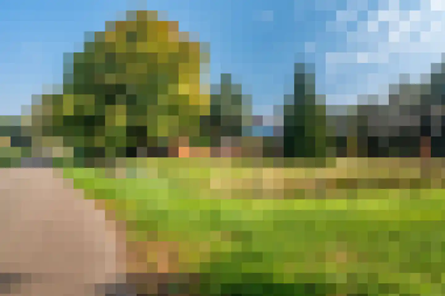 Werkhuislaan 5 Bellingwolde thumbnail 5