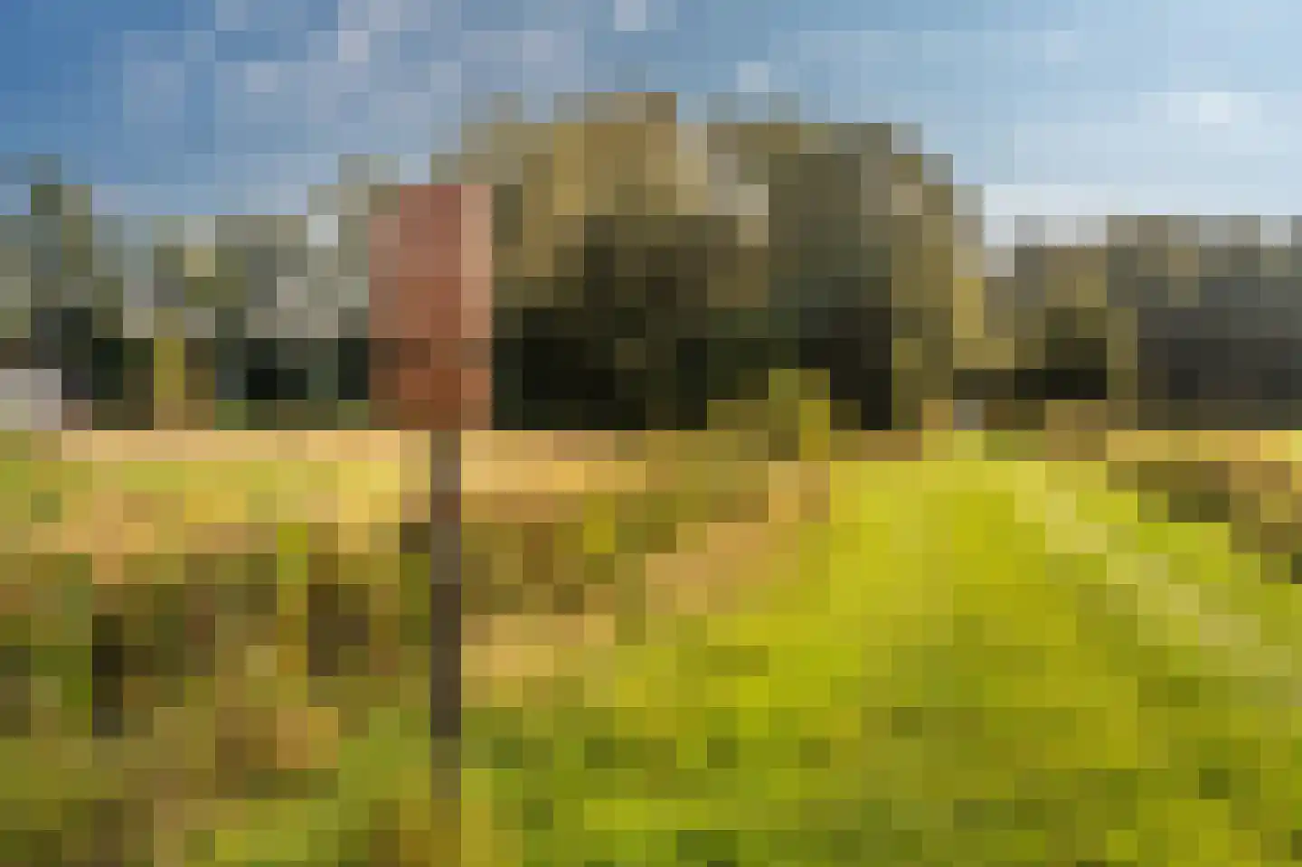 Werkhuislaan 5 Bellingwolde thumbnail 6