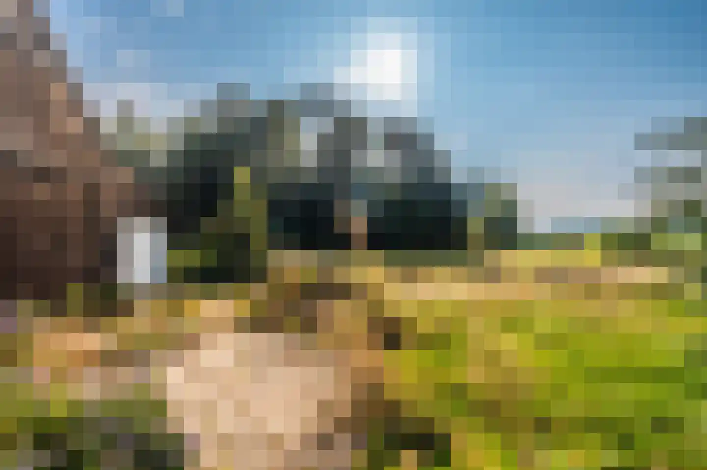 Werkhuislaan 5 Bellingwolde thumbnail 9