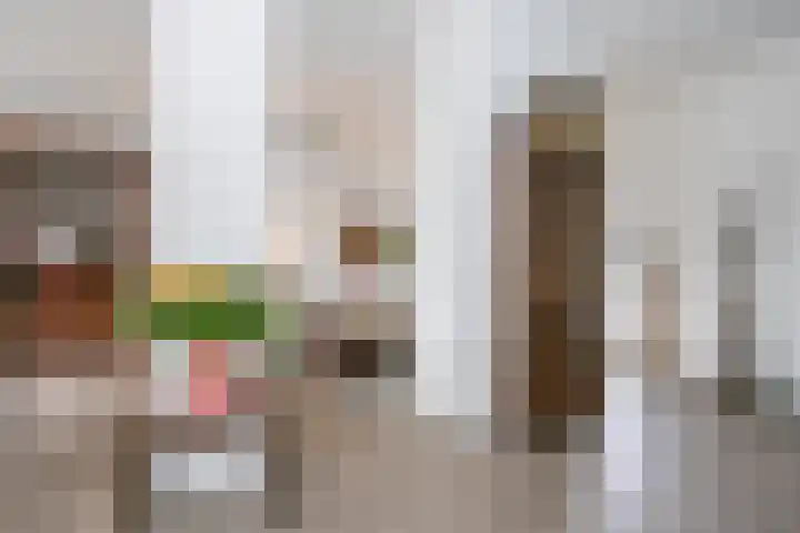 Werkmeestershof 10 Weert thumbnail 11