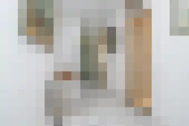 Werkmeestershof 10 Weert thumbnail 20