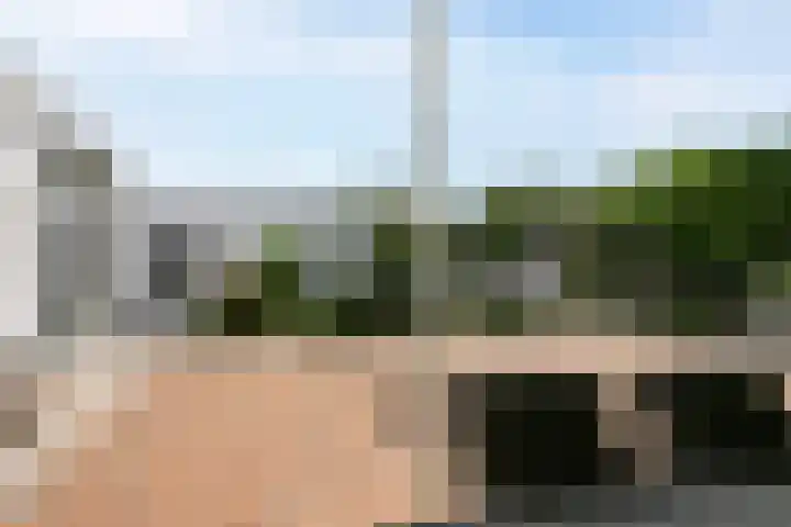 Werkmeestershof 10 Weert thumbnail 29