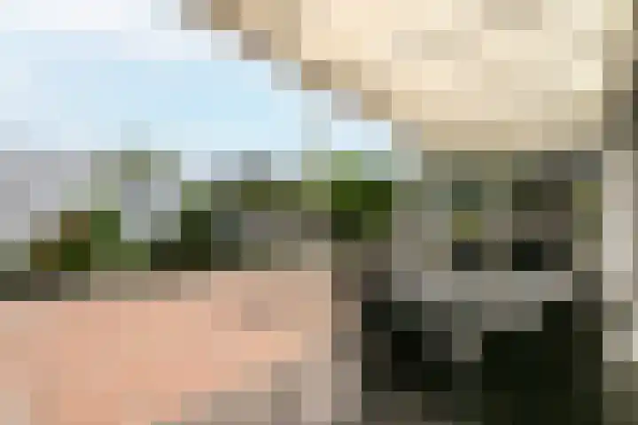 Werkmeestershof 10 Weert thumbnail 30