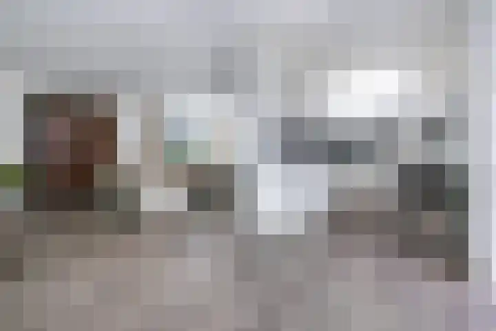 Werkmeestershof 10 Weert thumbnail 8