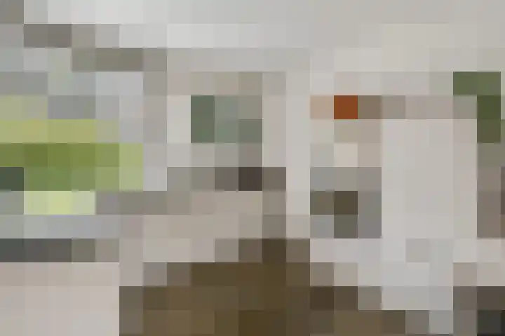 Werkmeestershof 7 B Weert thumbnail 13