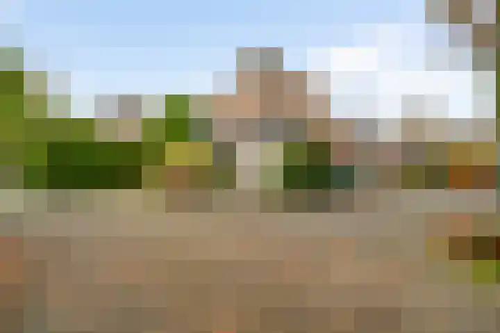 Werkmeestershof 7 B Weert thumbnail 29