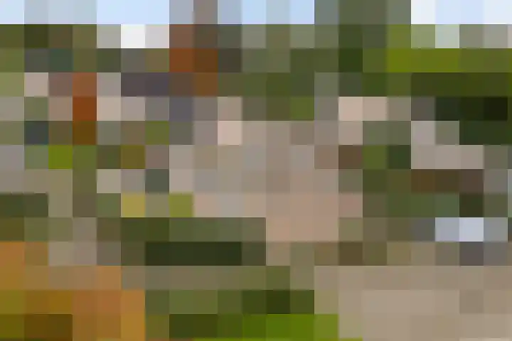 Werkmeestershof 7 B Weert thumbnail 5