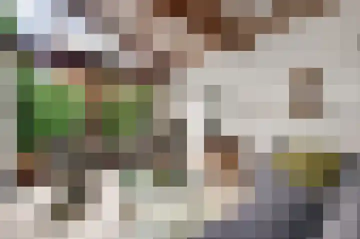 Werkmeestershof 7 B Weert thumbnail 8