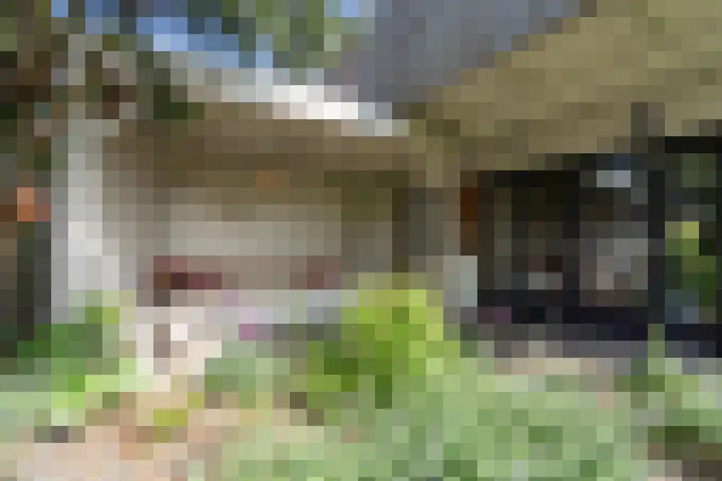 Werkspoorplein 1 Utrecht thumbnail 18