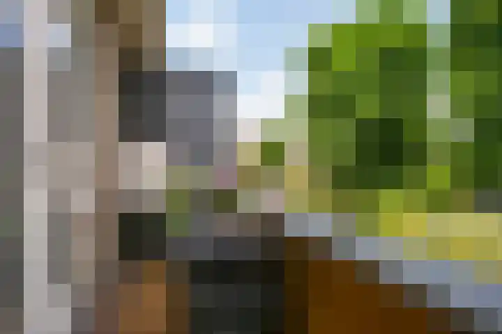 Werkspoorplein 6 BSA Utrecht thumbnail 13