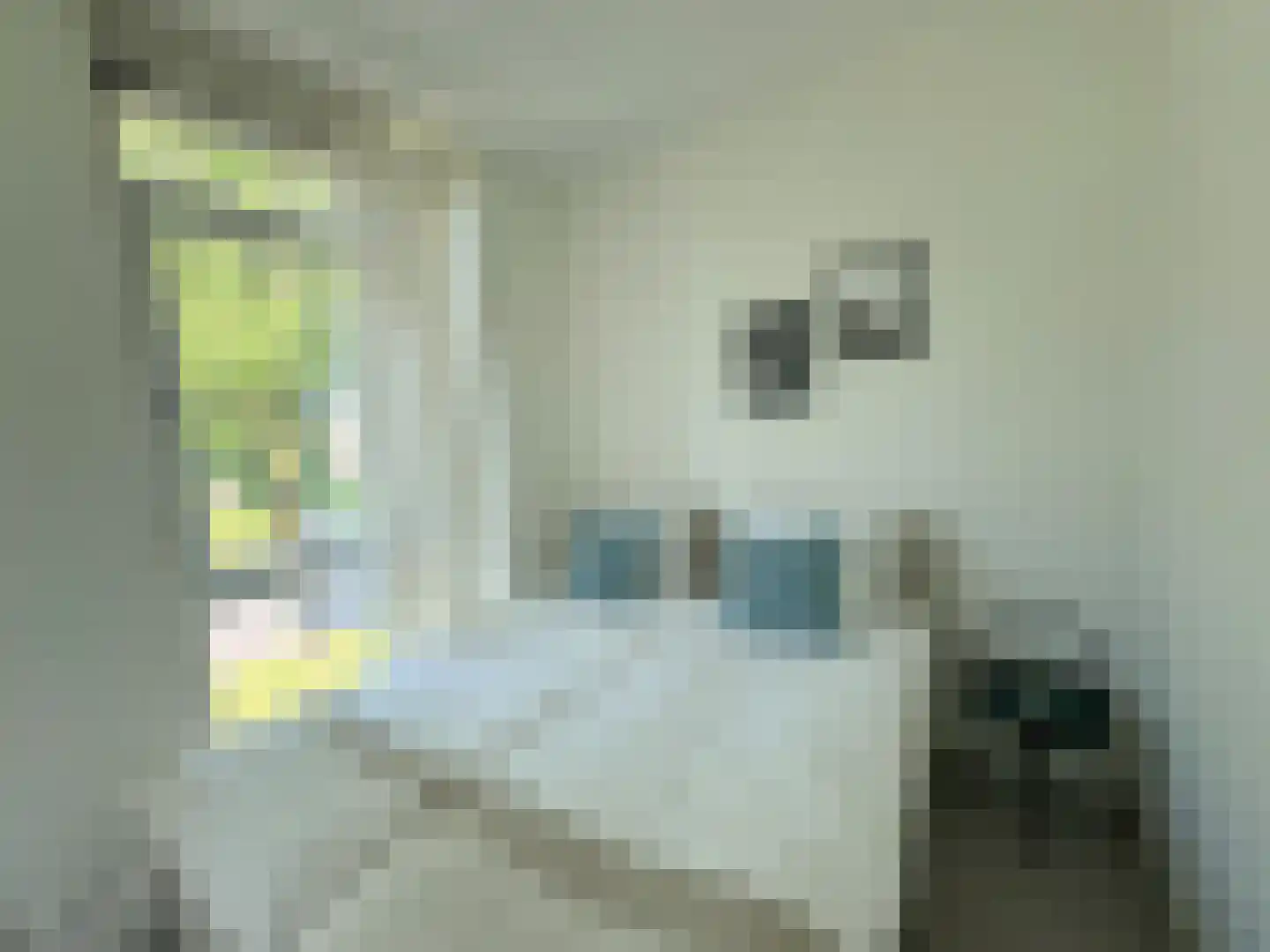 Werktuigstraat 64 Amsterdam thumbnail 13