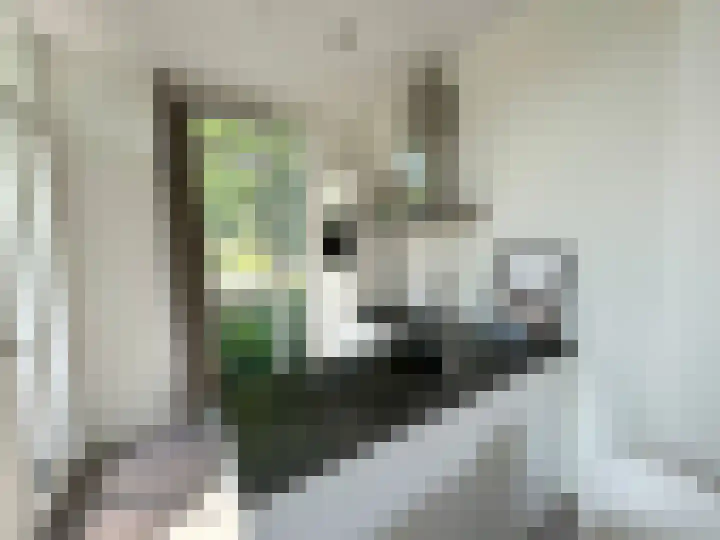 Werktuigstraat 64 Amsterdam thumbnail 4