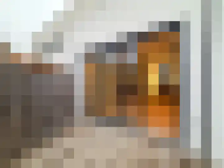 Werktuigstraat 70 Amsterdam thumbnail 7