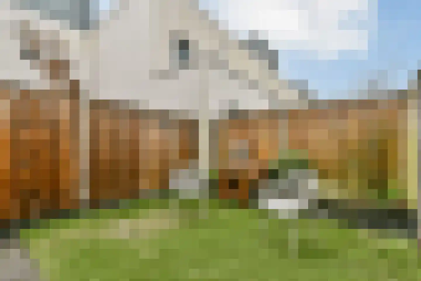 Werktuigstraat 72 Amsterdam thumbnail 4