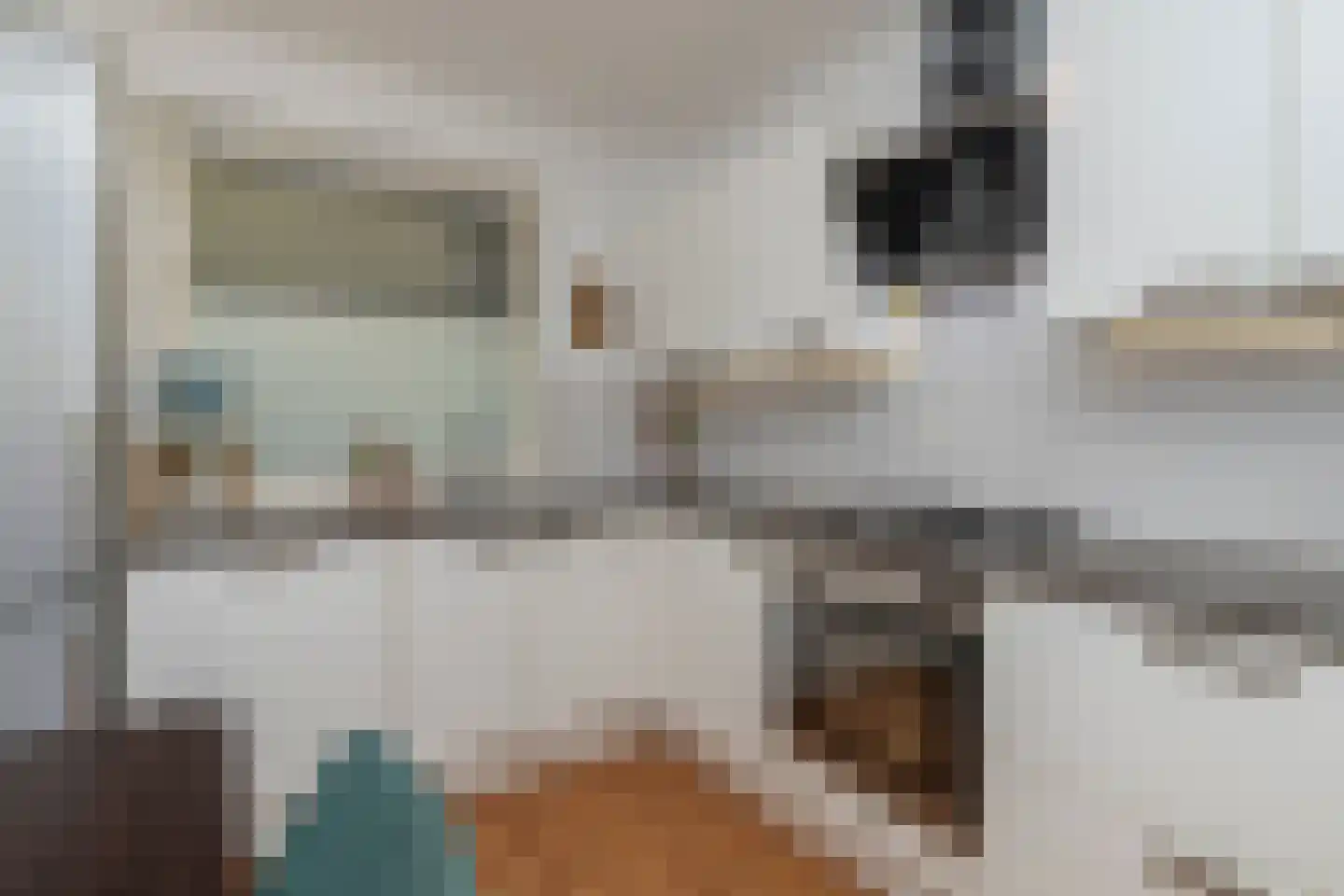 Werkzijde 223 Den Haag thumbnail 15