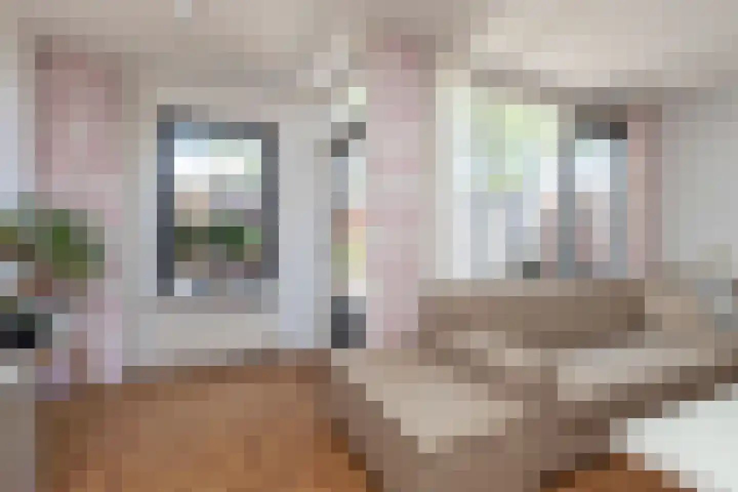 Werkzijde 223 Den Haag thumbnail 8