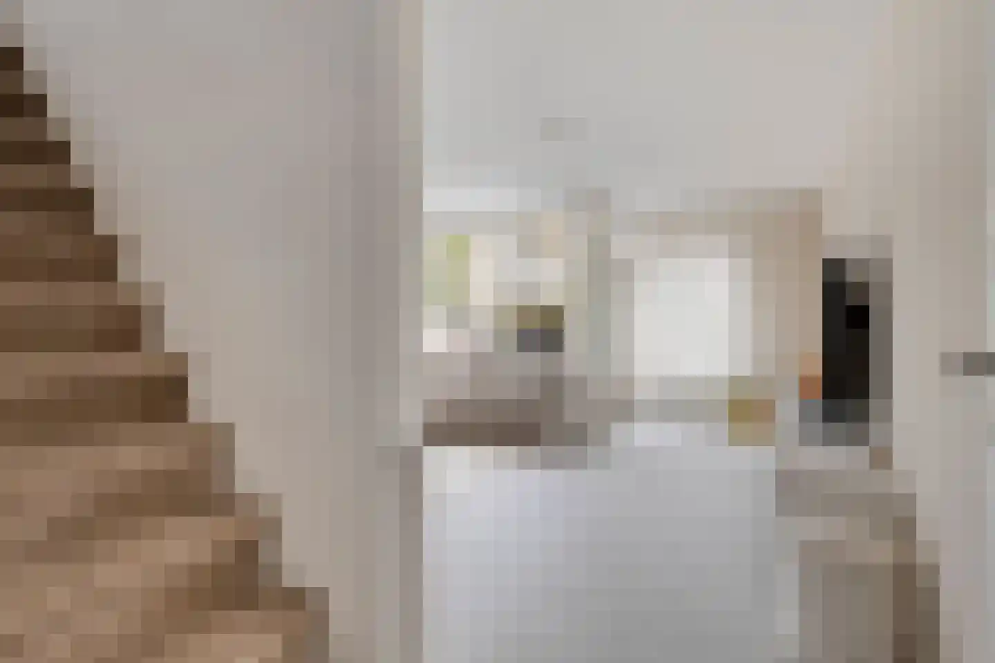 Werkzijde 35 Den Haag thumbnail 8