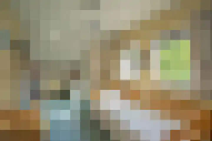 Wermenbossestraat 19 Goirle thumbnail 17