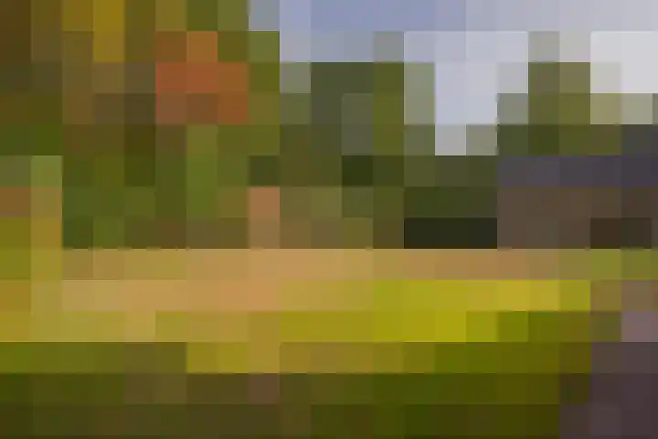 Wermenbossestraat 19 Goirle thumbnail 24