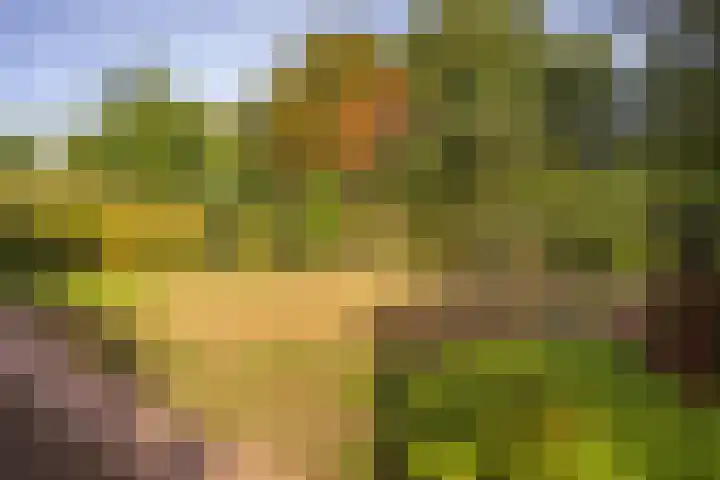 Wermenbossestraat 19 Goirle thumbnail 25