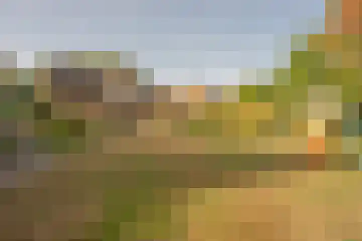 Wermenbossestraat 19 Goirle thumbnail 26
