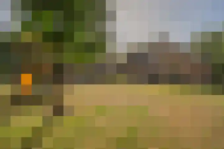 Wermenbossestraat 19 Goirle thumbnail 27