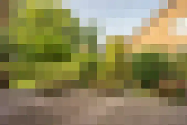Wermenbossestraat 19 Goirle thumbnail 28